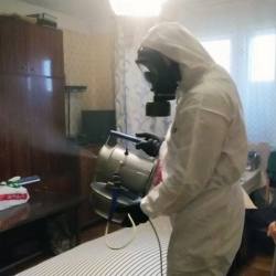 Дезинфекция от клопов в Салаире