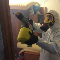 Уничтожение клопов в квартире. Салаир